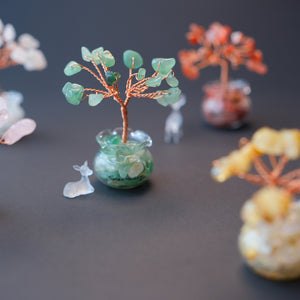 jade Feng Shui Tree for good luck