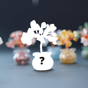 secret surprise Feng Shui tree